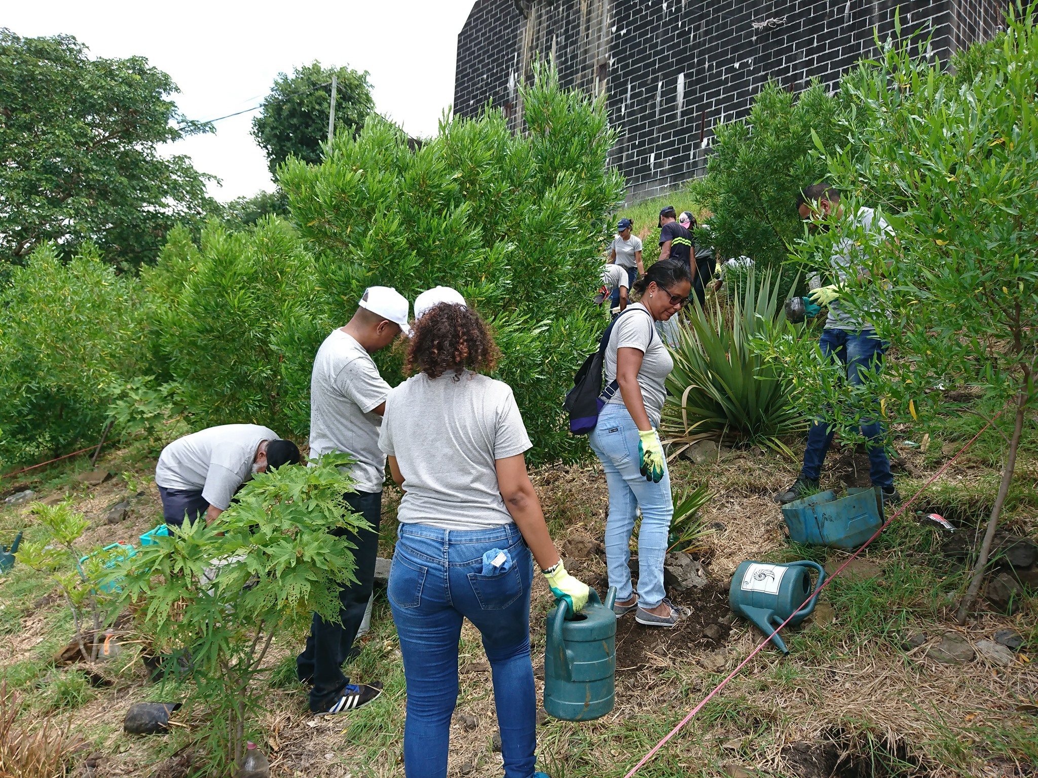 Erwin doing tree surveys with corporate volunteers