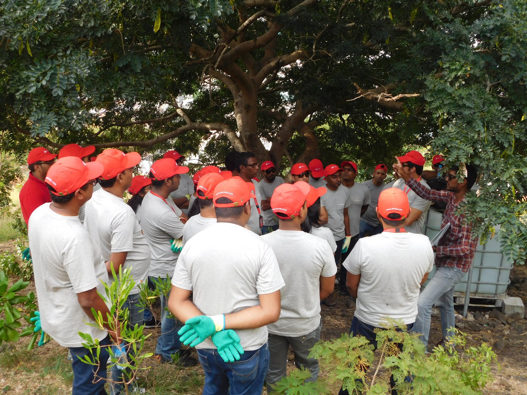 volunteering activities with corporate staff