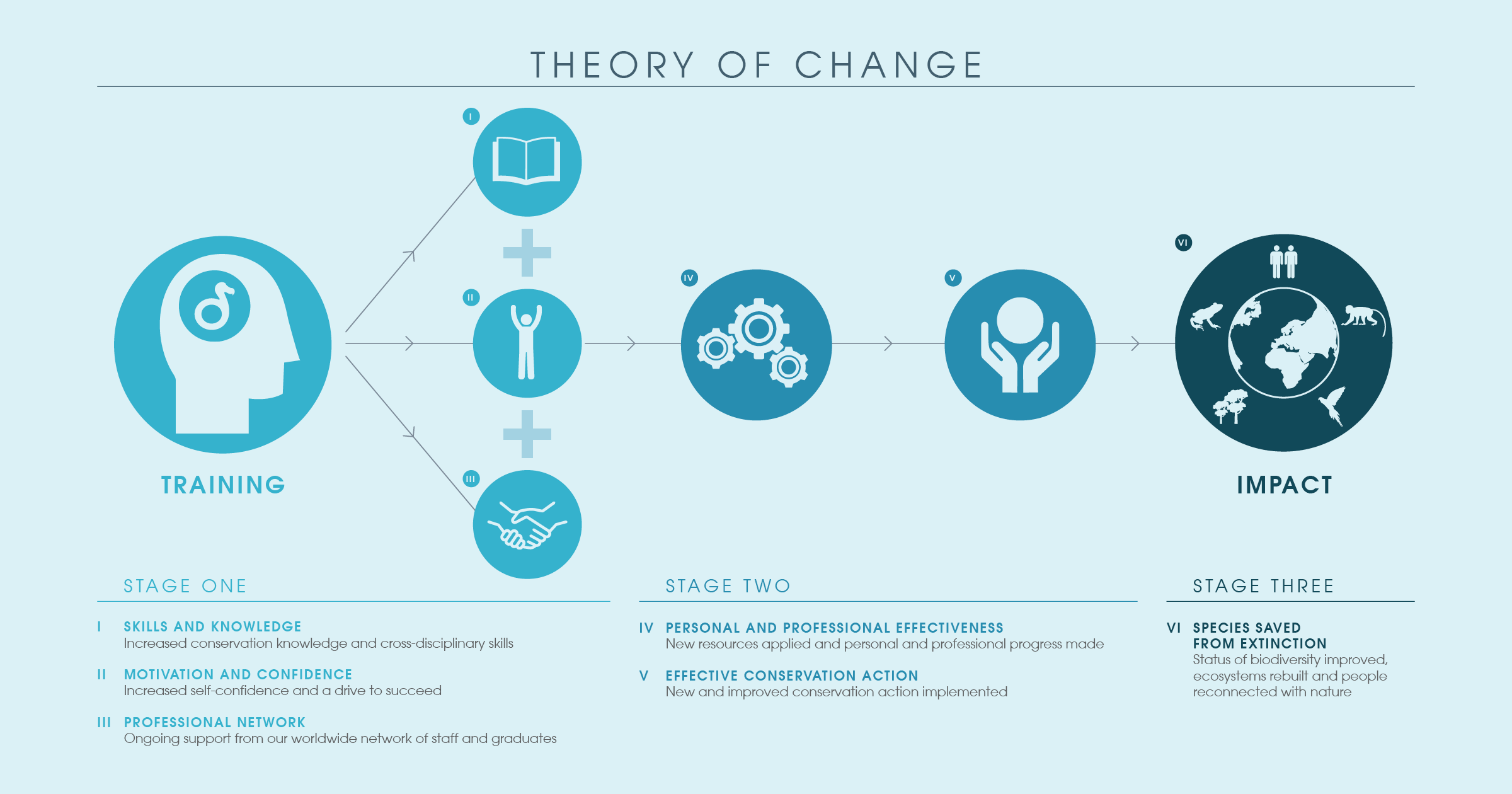 Theory of Change